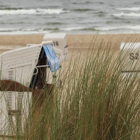 Jasmin - App 7 Χέρινγκσντορφ